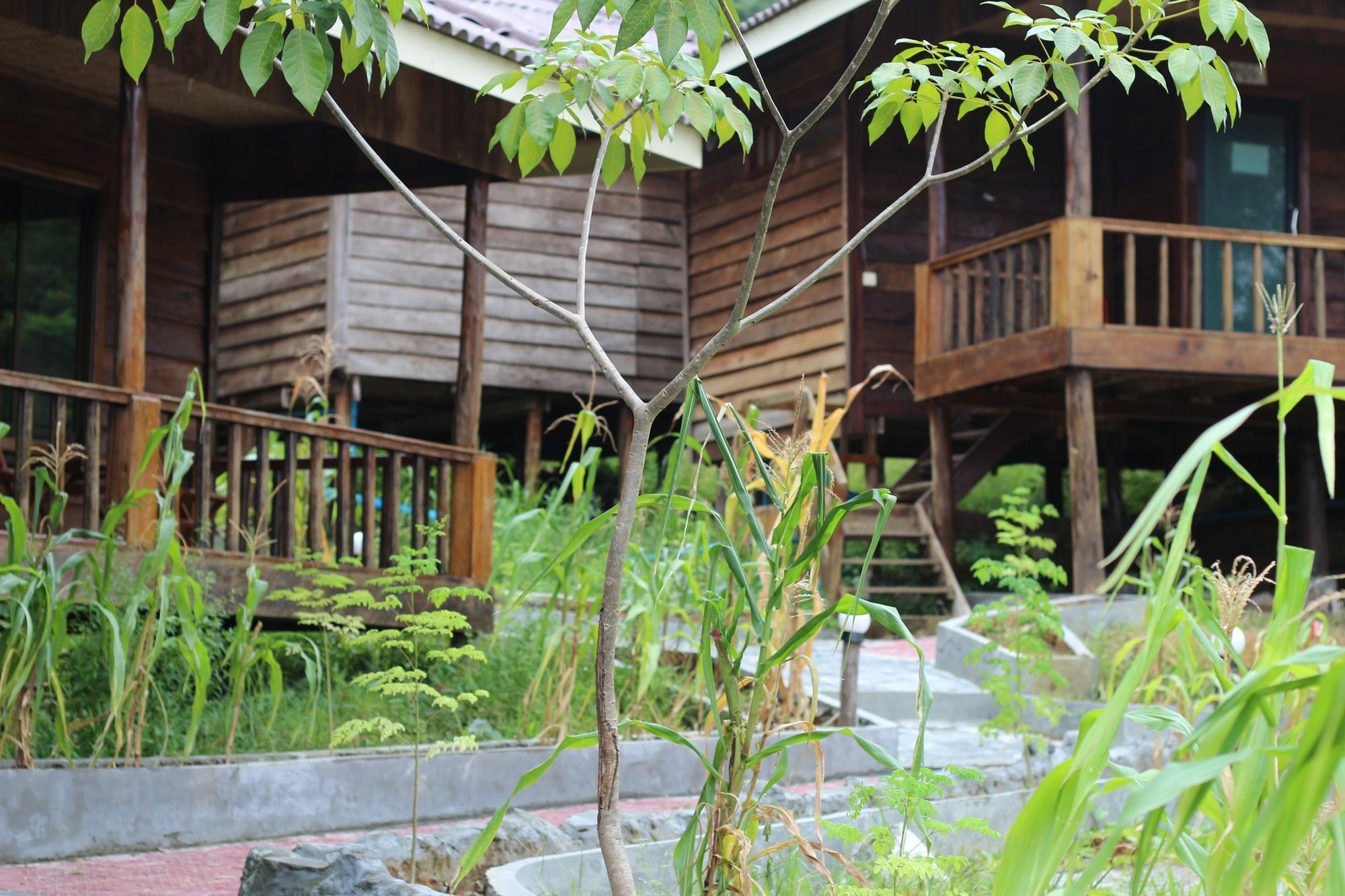 Golden Bungalows Kaoh Touch Zewnętrze zdjęcie
